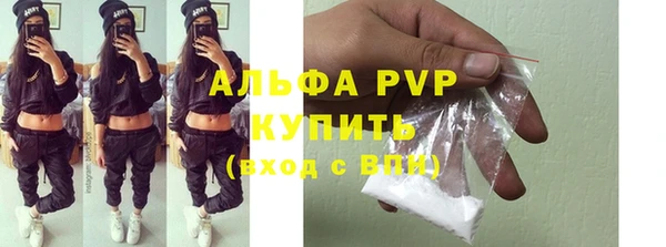 гашик Арсеньев