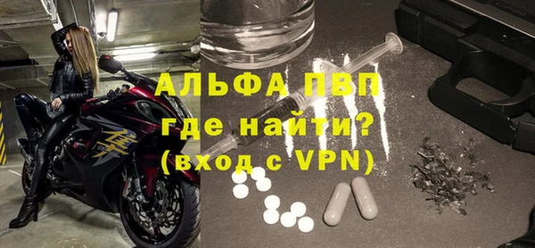 гашик Арсеньев