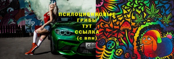 гашик Арсеньев
