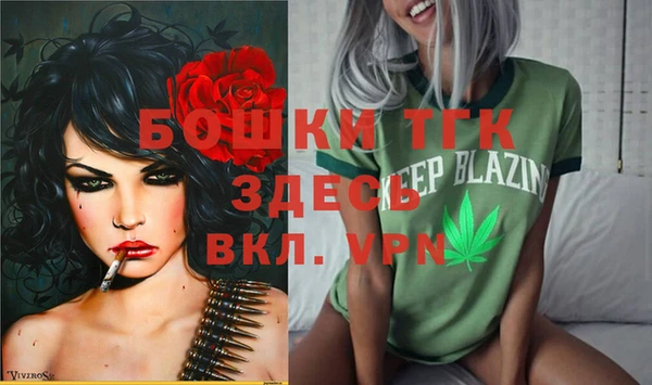 гашик Арсеньев