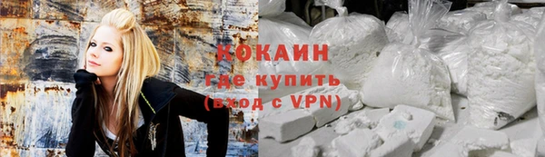 гашик Арсеньев