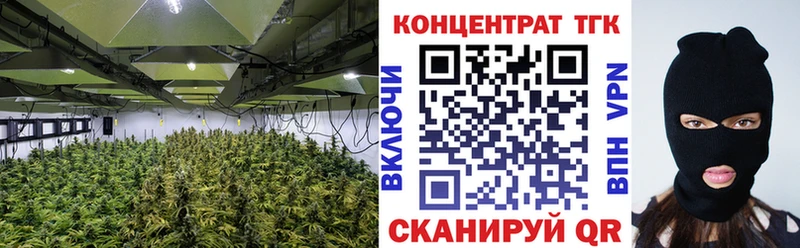 Дистиллят ТГК гашишное масло  kraken маркетплейс  Краснотурьинск 